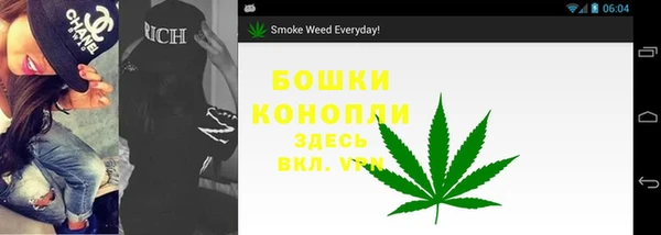 дмт Дмитров