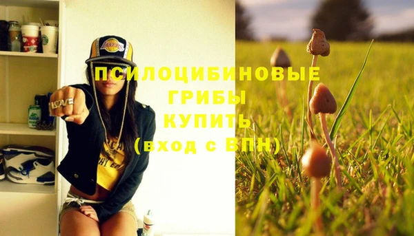 дмт Алексин