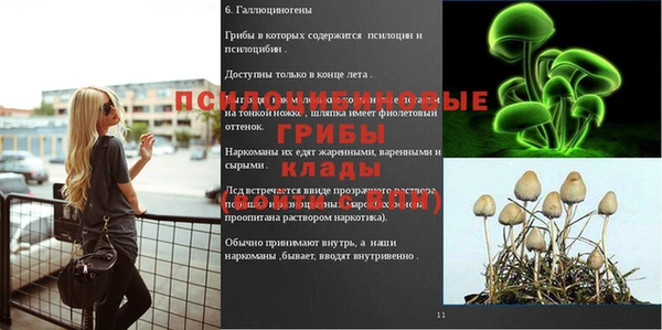 2c-b Алзамай