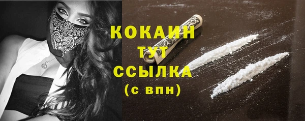 твердый Дмитриев